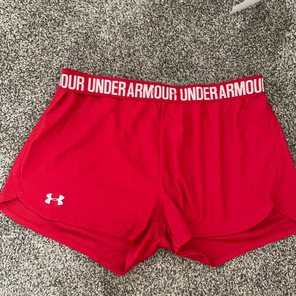 UnderArmor shorts (L)